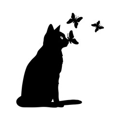 A cat sitting and looking up at three black butterflies