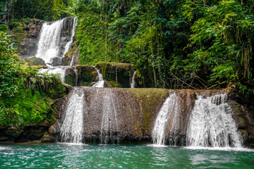 Fototapeta premium in Jamaica a set of 7 different height and difficulty waterfalls with plentiful of ziplining, swimming and enjoyment.