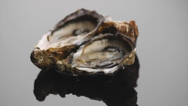 Oysters on grey background, group of French open oyster rotating. Healthy sea food. Fresh Oyster, dinner in restaurant. Gourmet food. Sea food, Slow motion