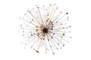 Obraz premium Firework Is Exploding In The Air, With Many Small Sparks Flying Outwards, Independence Day, 3D Render, Illustrations, Isolated On A Transparent Background. 