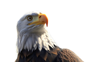 Obraz premium Bald Eagle With Its Head Turned To The Side, Independence Day, 3D Render, Illustrations, Isolated On A Transparent Background. 