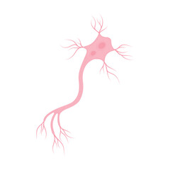 Neuron Cell Illustration 