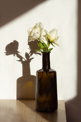 Un florero con rosas blancas sobre una mesa y reflejo de sombra en la pared. Vista de frente y de cerca. Copy space. Formato vertical
