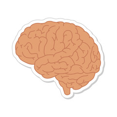 Simple image brain sticker