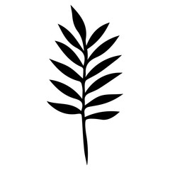  silhouette of a palm leaf 