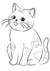 black and white cat for color 