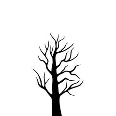 Fototapeta premium Bare Tree Silhouette