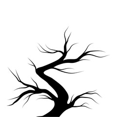 Obraz premium Bare Tree Silhouette