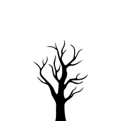 Fototapeta premium Bare Tree Silhouette