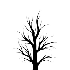 Obraz premium Bare Tree Silhouette