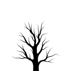 Obraz premium Bare Tree Silhouette