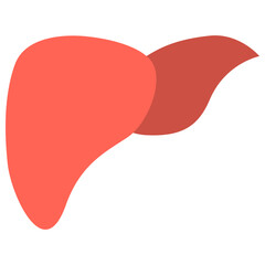 liver flat icon