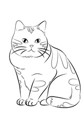 cat , Black and white cat pictures for coloring
