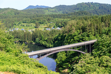 Serene Bridge Over Calm Waters Amidst Lush Greenery