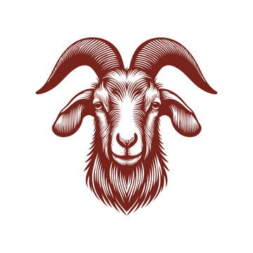 recommend clip art: goat head Vector, goat vector illustration, goat head emblem design, Goat silhouette