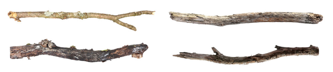 Fototapeta premium Many dry tree branches isolated on white, set