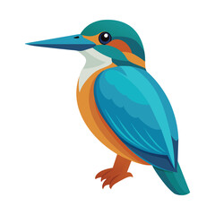 kingfisher bird  isolated on white