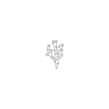 Hand Drawn Fukus algae