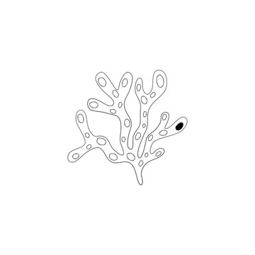 Hand Drawn Fukus algae