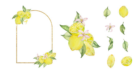 Gold frame with watercolor lemon, leaves and flowers set