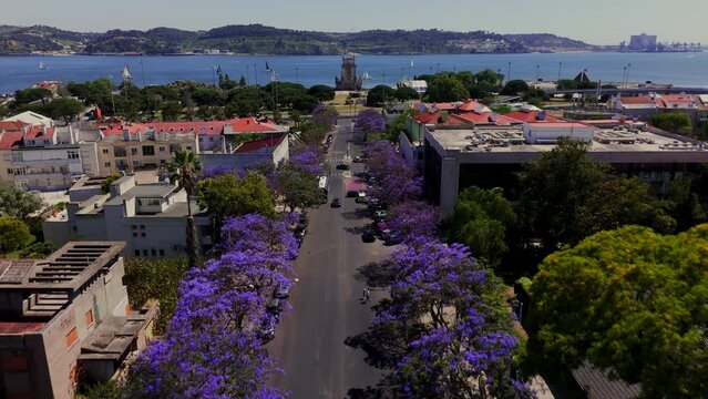 Flying over the avenue lined with blooming jacaranda trees towards the Belem Tower and Tagus River