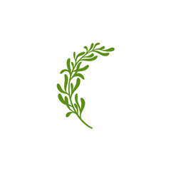 Rosemary Branch Icon Illustration 