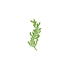 Rosemary Branch Icon Illustration 