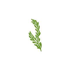 Rosemary Branch Icon Illustration 