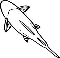 top view fish drawing.