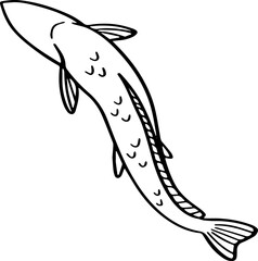 top view fish drawing.