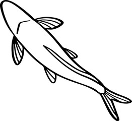 top view fish drawing.