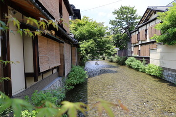 The scene of a Japanese river : Shira-kawa Stream at Gion in Kyoto City