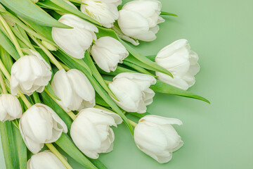 Fototapeta premium A bouquet of white tulips on a pastel green background. Blooming flowers, festive concept