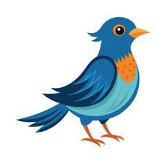 Fototapeta premium martin bird isolated on white
