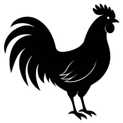 a rooster vector silhouette, white background