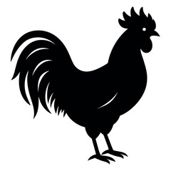 a rooster vector silhouette, white background