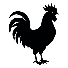 a rooster vector silhouette, white background