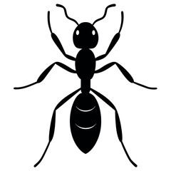 the ant vector silhouette white background