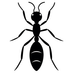 the ant vector silhouette white background