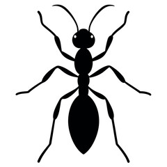 the ant vector silhouette white background