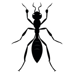 the ant vector silhouette white background