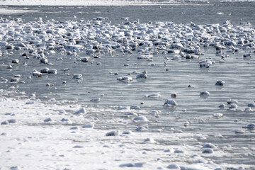 snow and ice on the frozen seaside
