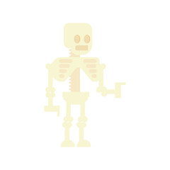 Skeleton, Geometric flat design character illustration