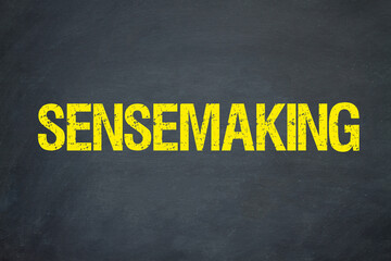 Sensemaking	
