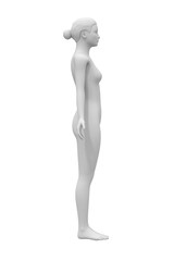 woman body, human anatomy pose, art & medical science