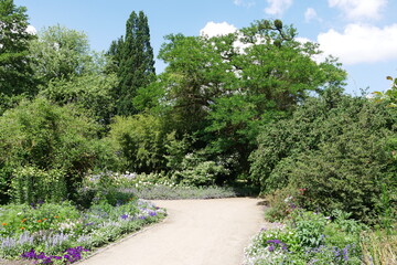 Fototapeta premium Blumen in Gartenausstellung