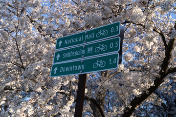 Directional signs on the National Mall of Washington DC for the Smithsonian metro station and downtown DC, during cherry blossom season