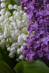 A close-up image of lily of the valley flowers and lilac blossoms. The lily of the valley are white and bell-shaped, while the lilacs are a vibrant purple. Both flowers are in full bloom.