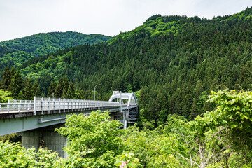 Fototapeta premium Architectural Marvels Amidst Verdant Forest Canopies