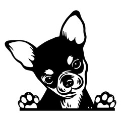 Peeking Chihuahua - Dog Breed, Puppy Breed Vector File, detailed vector